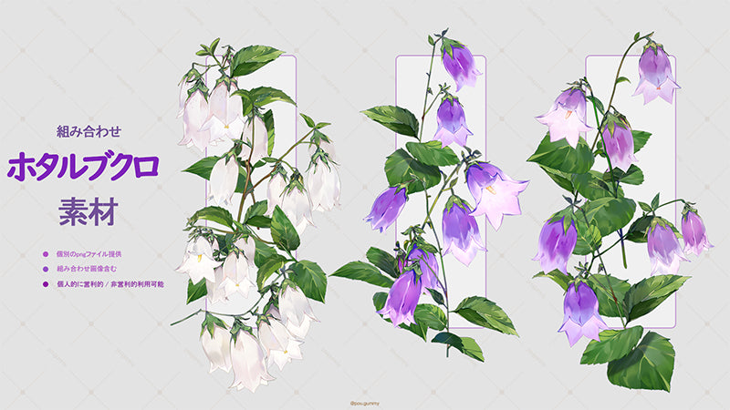 Combination material - Campanula