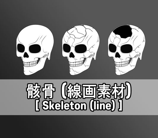 Skeleton (line drawing material)